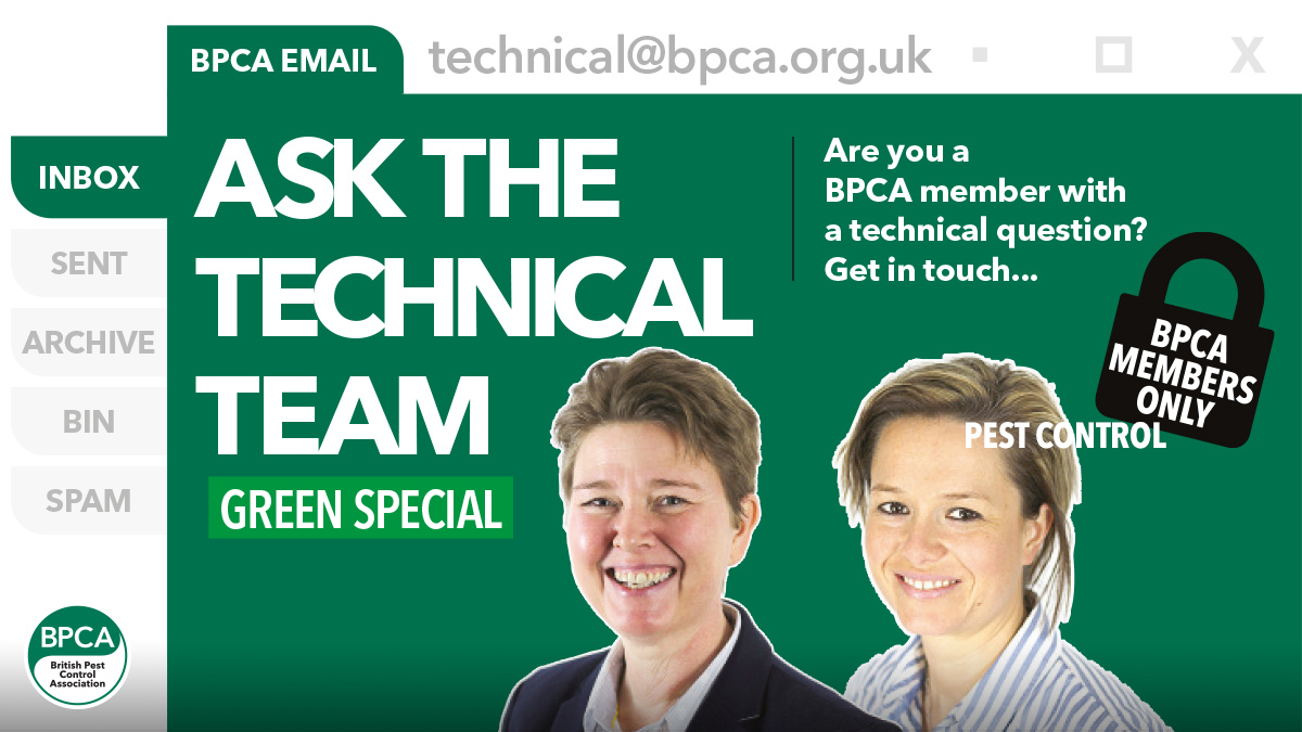ask-the-tech-team-green ask-the-tech-team-green